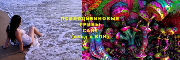 дурь Алзамай