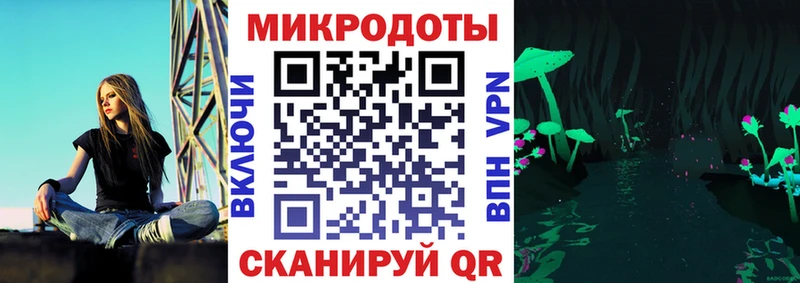 Псилоцибиновые грибы Psilocybe  Куйбышев 