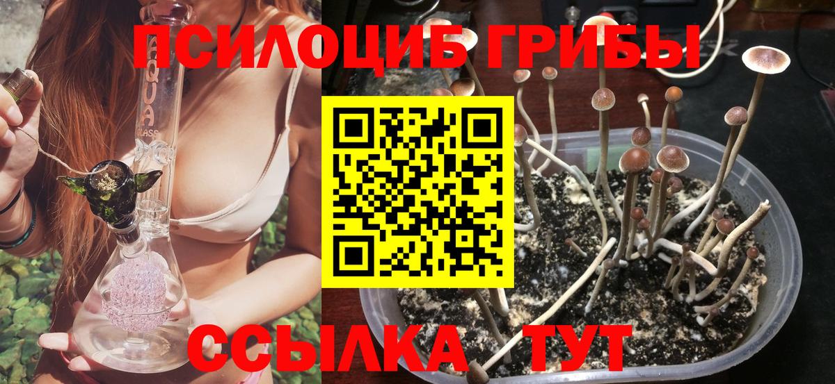 Псилоцибиновые грибы ЛСД Куйбышев