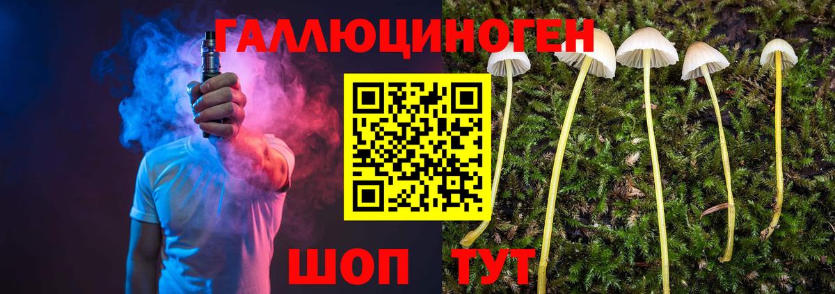 Галлюциногенные грибы MAGIC MUSHROOMS  Вход с VPN  Куйбышев 